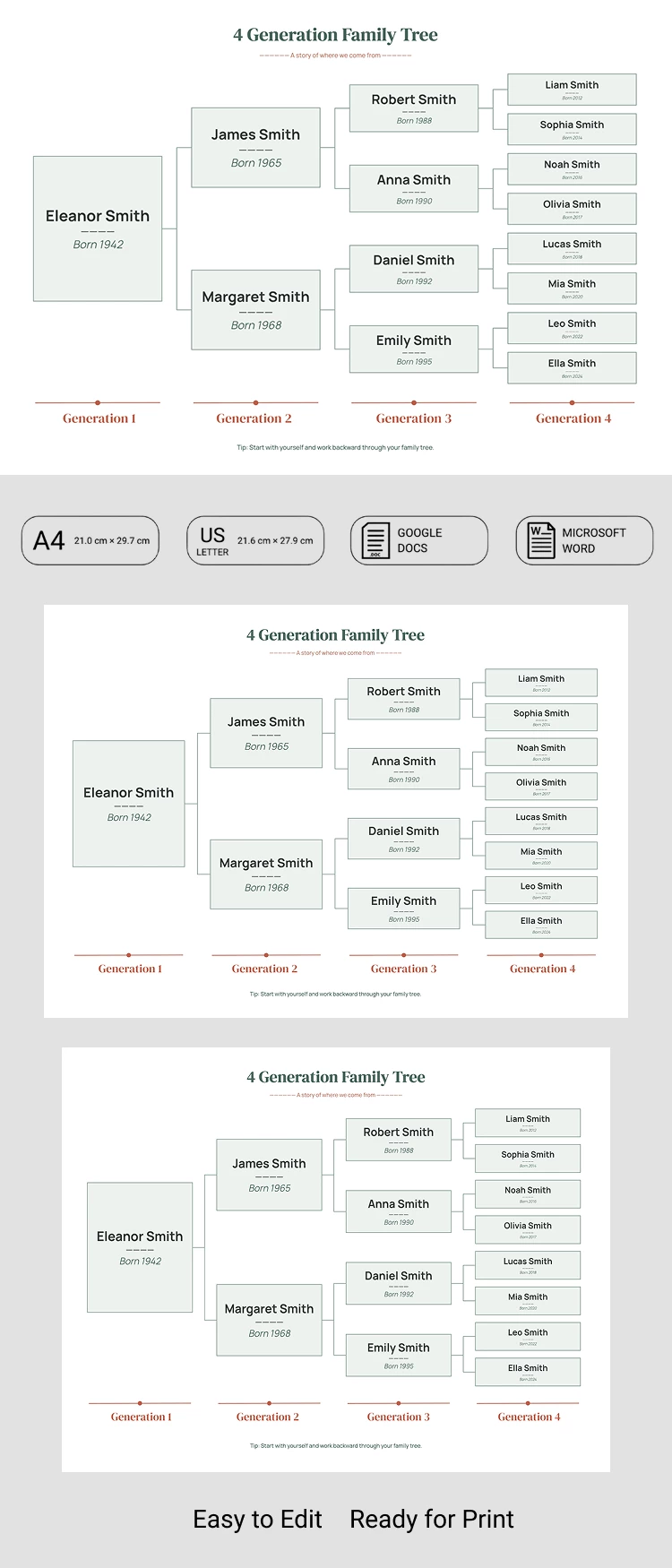 Preview of 4 Generation Family Tree Template for Google Docs and Microsoft Word