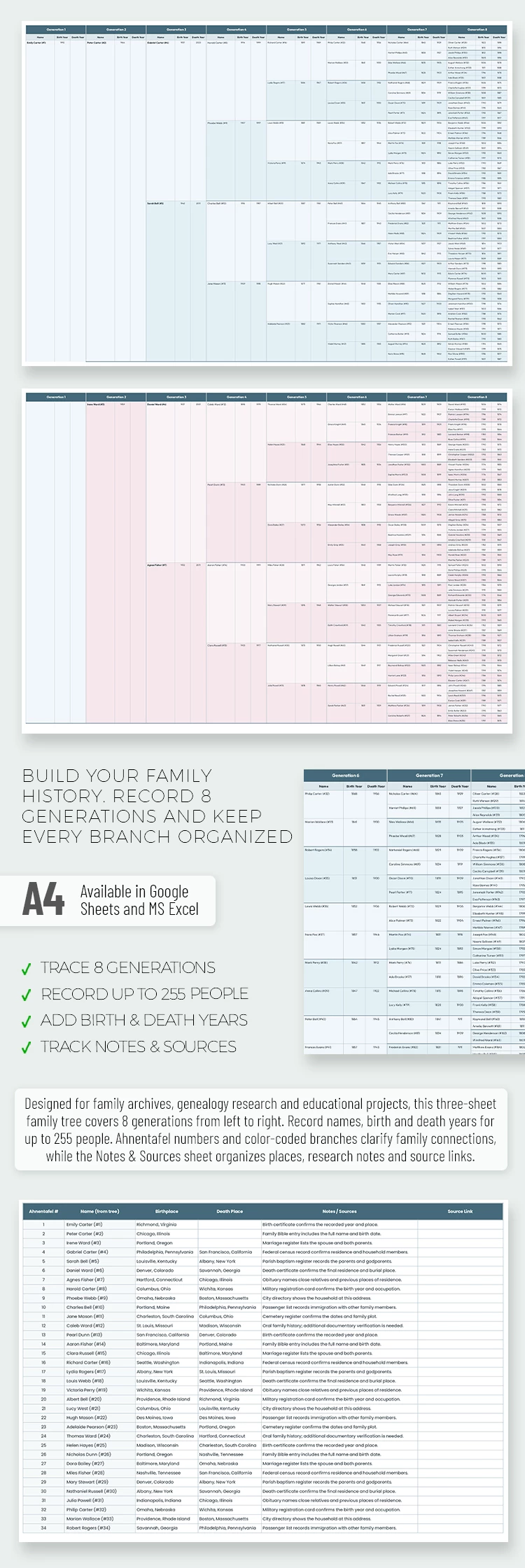 Vista previa de Plantilla de hoja de cálculo de árbol genealógico de 8 generaciones para Google Sheets and Microsoft Excel