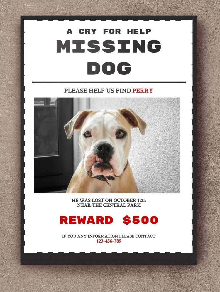 A Wanted Poster - free Google Docs Template - 10061567