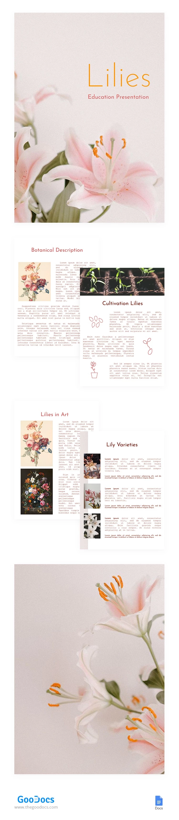 About Lilies Education Presentation - free Google Docs Template - 10062666