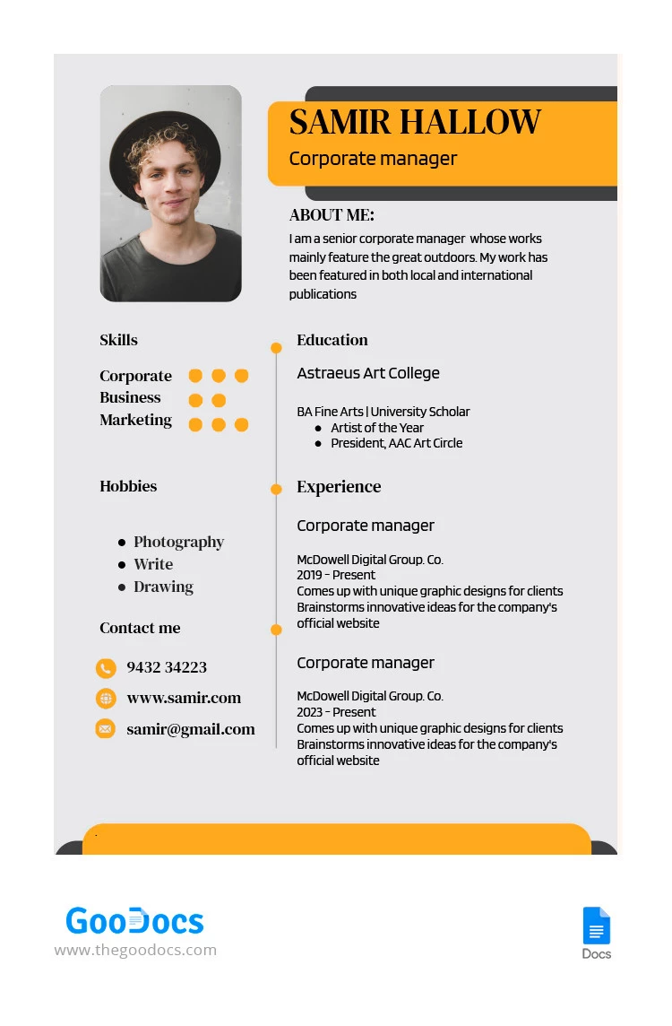 Progect Manager Resume - free Google Docs Template - 10066283