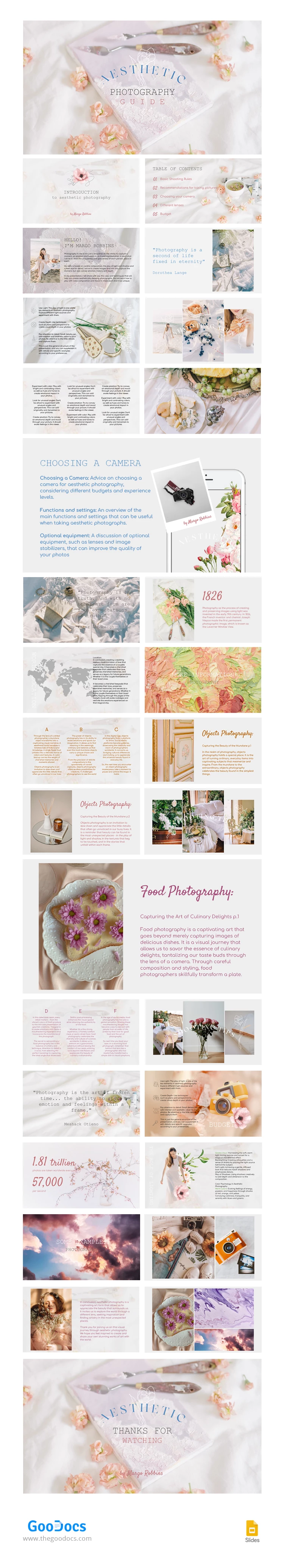 Aesthetic Photography Guide - free Google Docs Template - 10066984