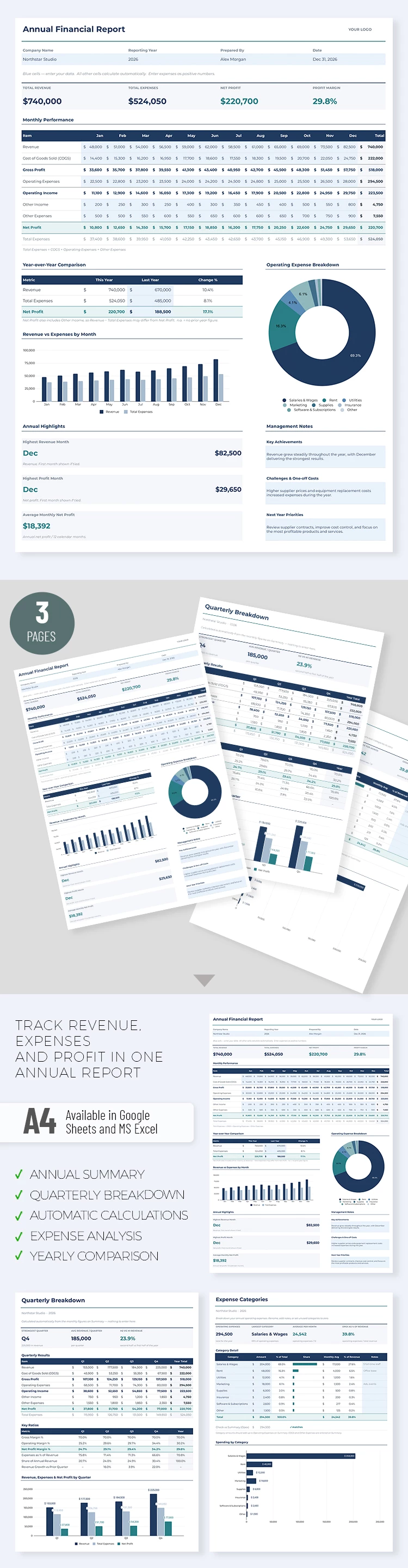 Anteprima di Modello di relazione finanziaria annuale per Google Sheets and Microsoft Excel