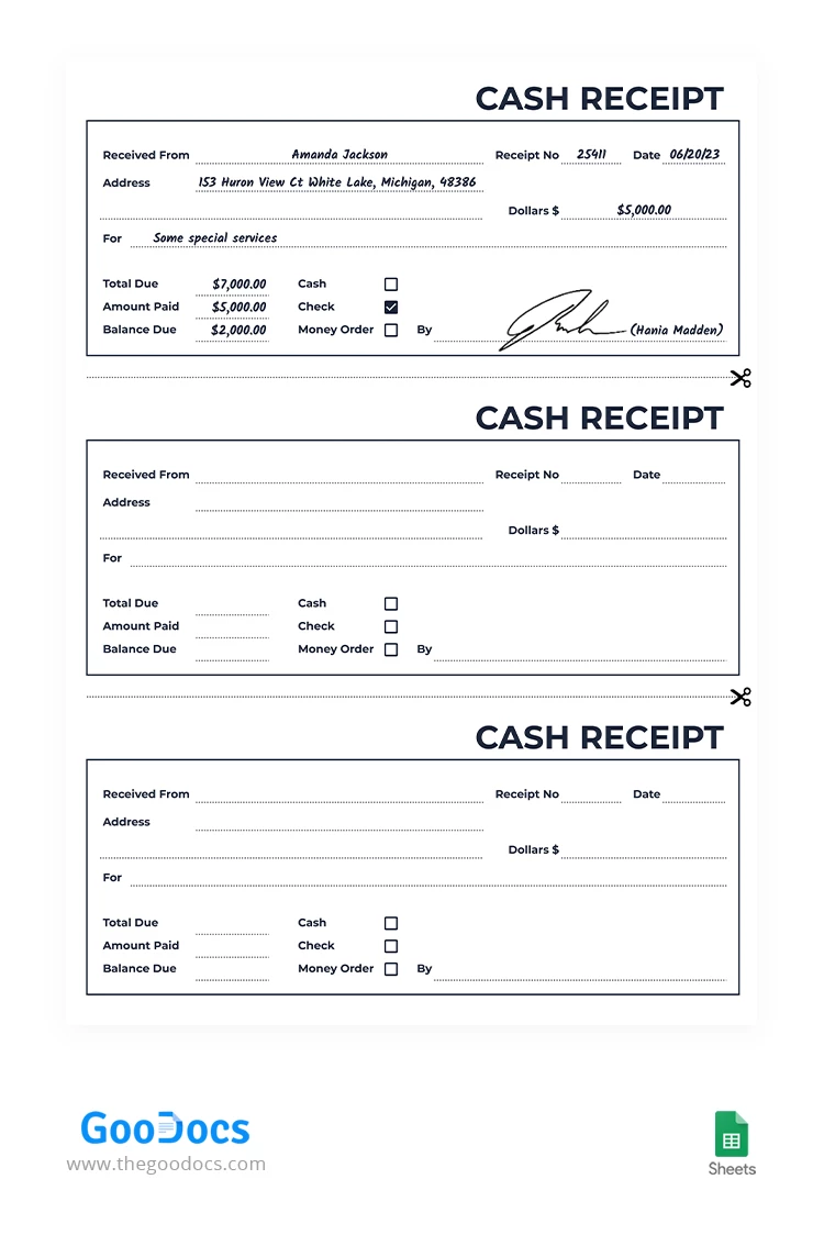 Basic Cash Receipt - free Google Docs Template - 10067418