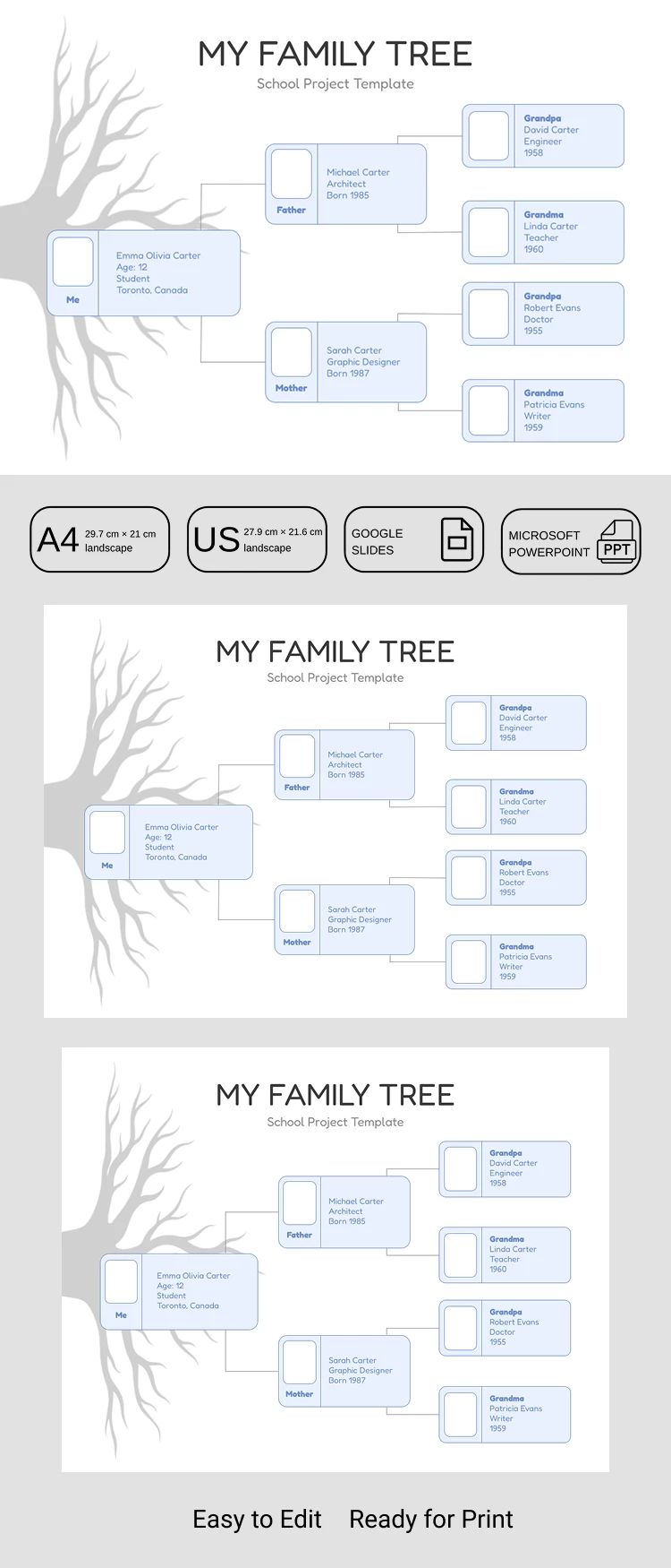 Preview of Blank Family Tree Template for School Projects for Google Slides and Microsoft PowerPoint