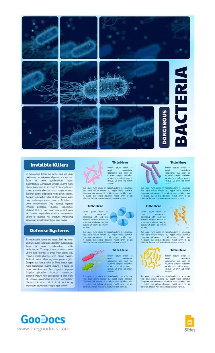 Brochure des bactéries bleues - free Google Docs Template - 10066074