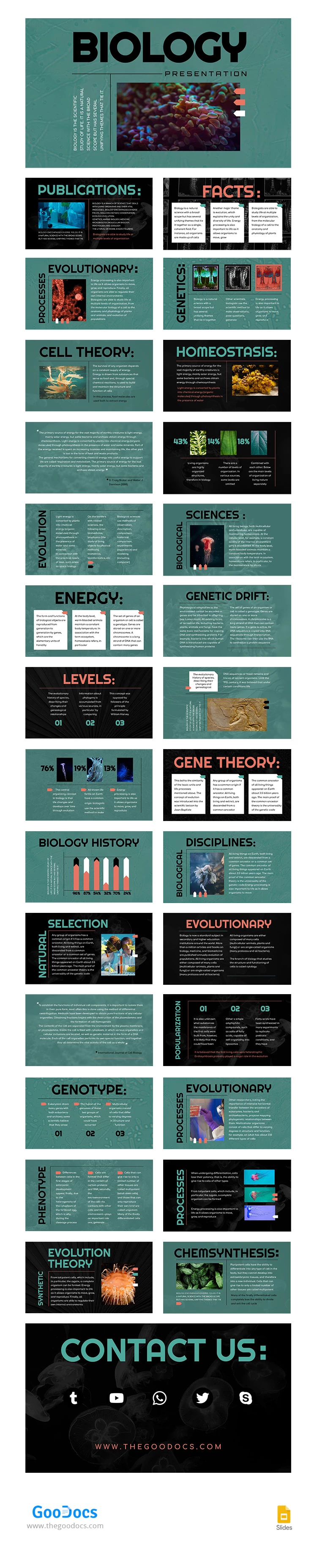 Bold Modern Biology - free Google Docs Template - 10067306