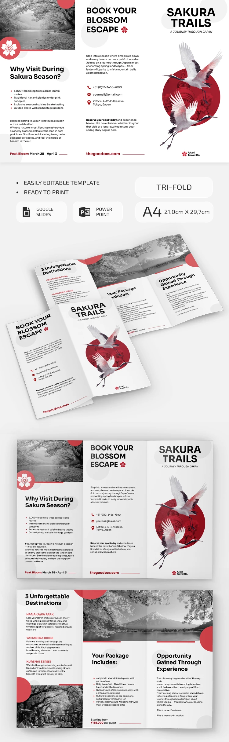 Folheto de viagem Cerejeira em Flor - free Google Docs Template - 10071492 Folheto de viagem Cerejeira em Flor - free Google Docs Template - 10071492