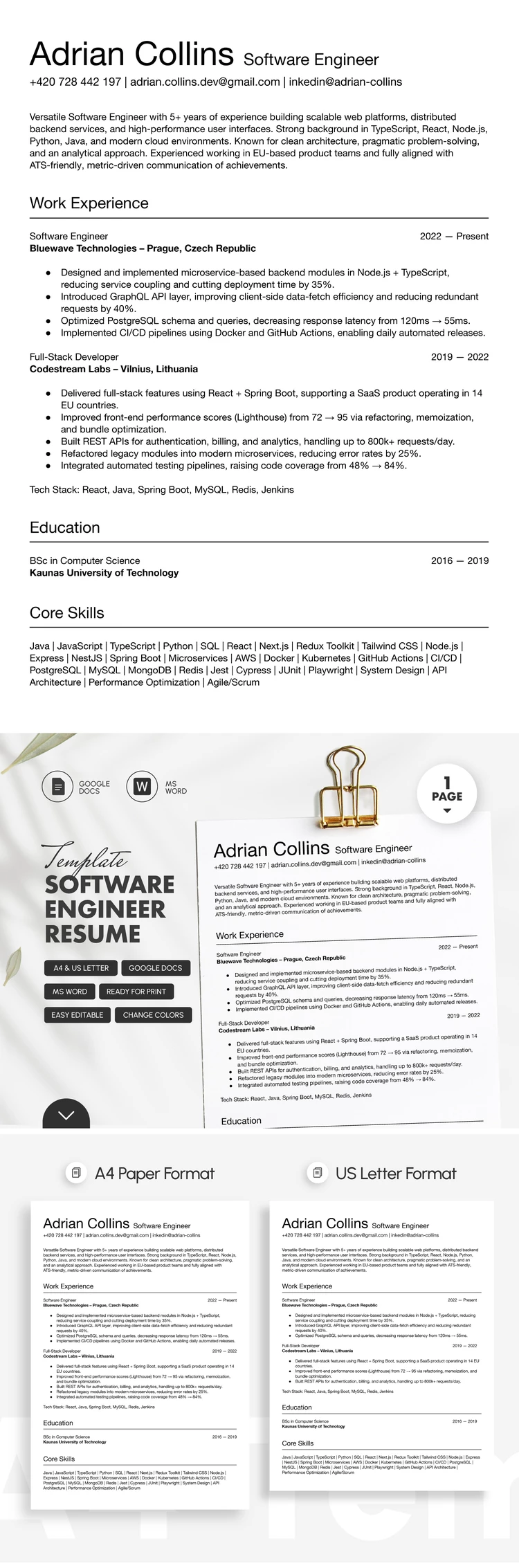 Customizable Software Engineer Resume Template - free Google Docs Template - 10072240