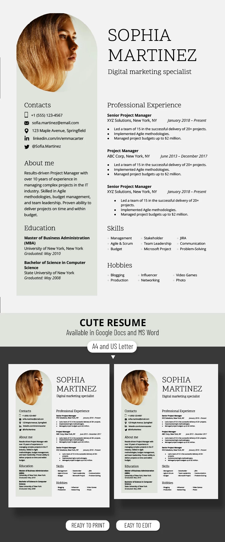 Classic Cute Resume - free Google Docs Template - 10069756