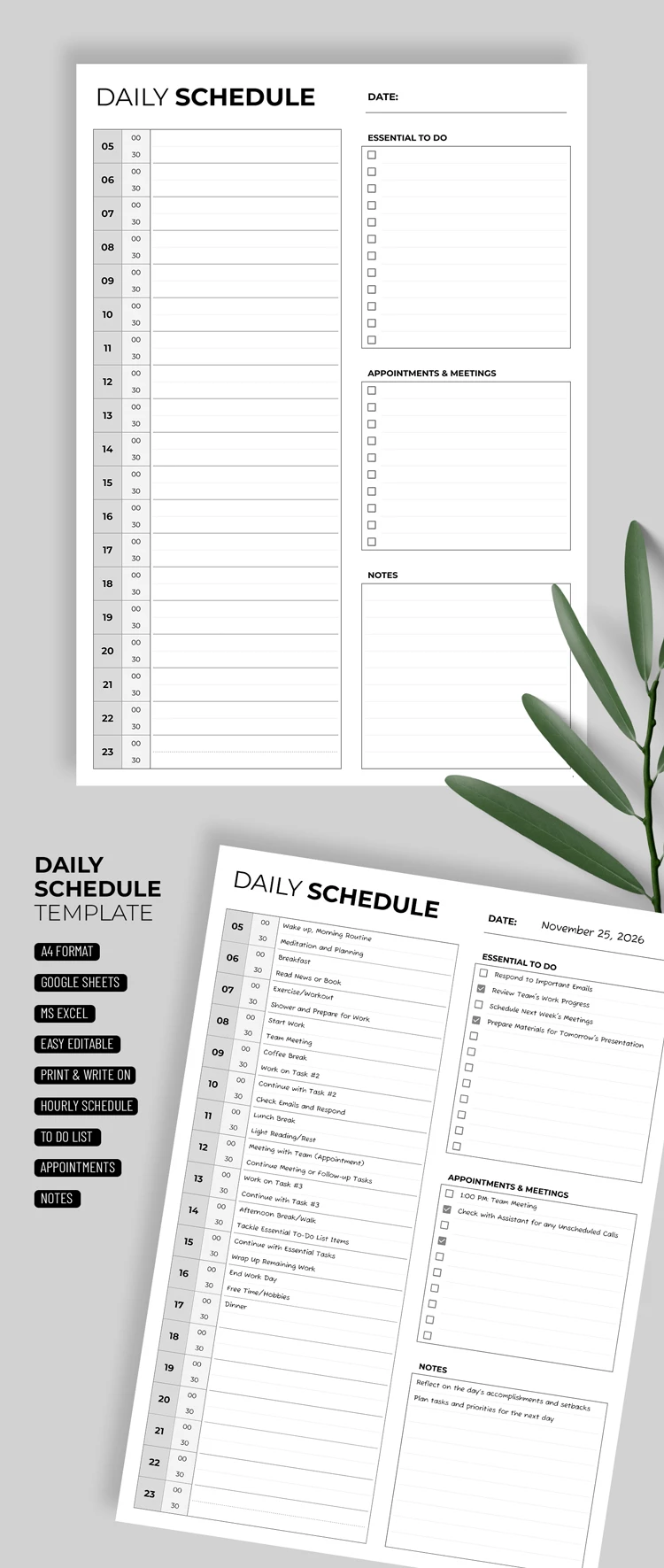 Classic Daily Schedule - free Google Docs Template - 10069564