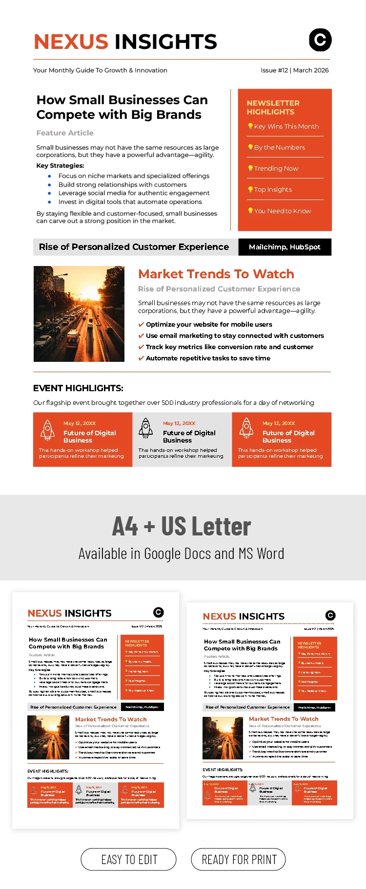 Preview of Editable Business Newsletter Template for Google Docs and Microsoft Word