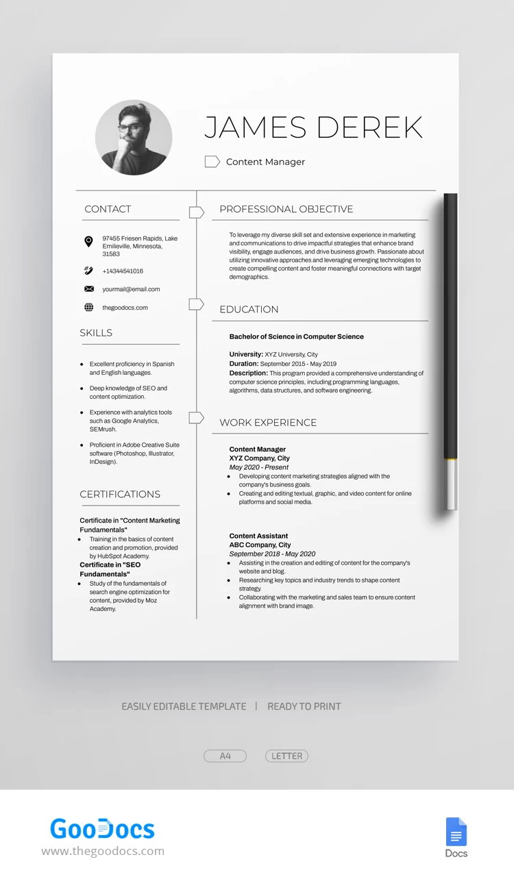 Editable Professional Resume - free Google Docs Template - 10068565