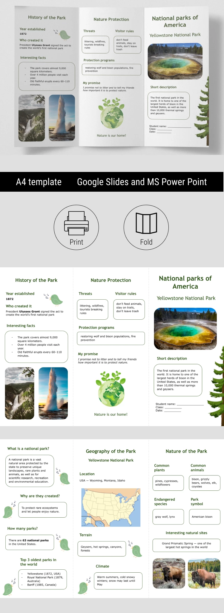 Educational National Parks Brochure for Classroom - free Google Docs Template - 10071487 Educational National Parks Brochure for Classroom - free Google Docs Template - 10071487