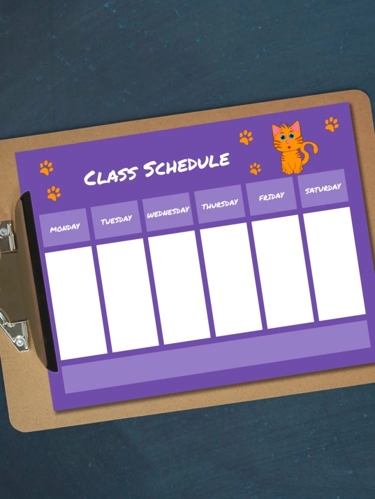 Illustrated Fun Class Schedule - free Google Docs Template - 10061789