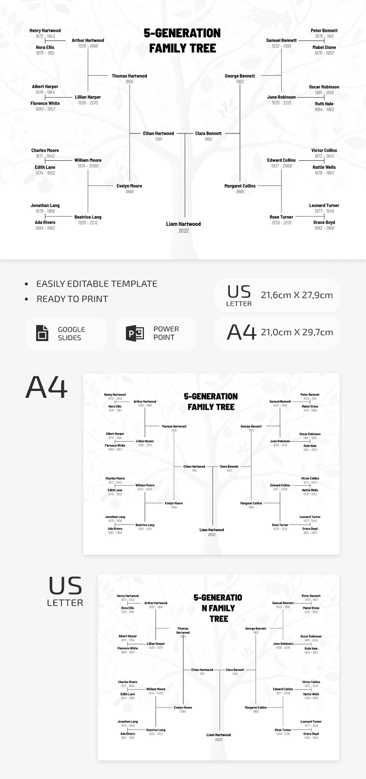 Genealogy Family Tree Template - free Google Docs Template - 10072163