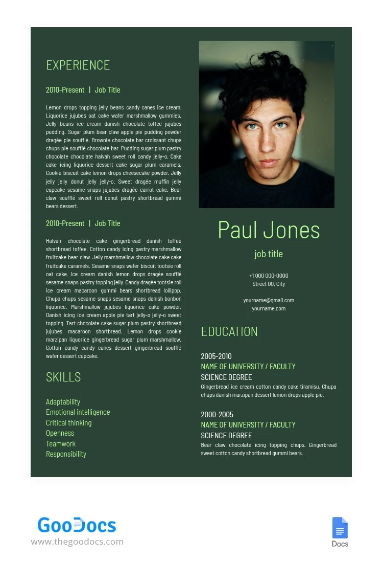 CV de la plaine verte - free Google Docs Template - 10063872