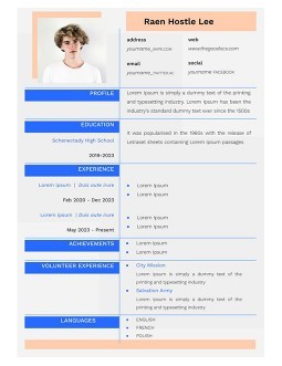 Free Grey Beginner Resume Template in Google Docs and Microsoft Word ...