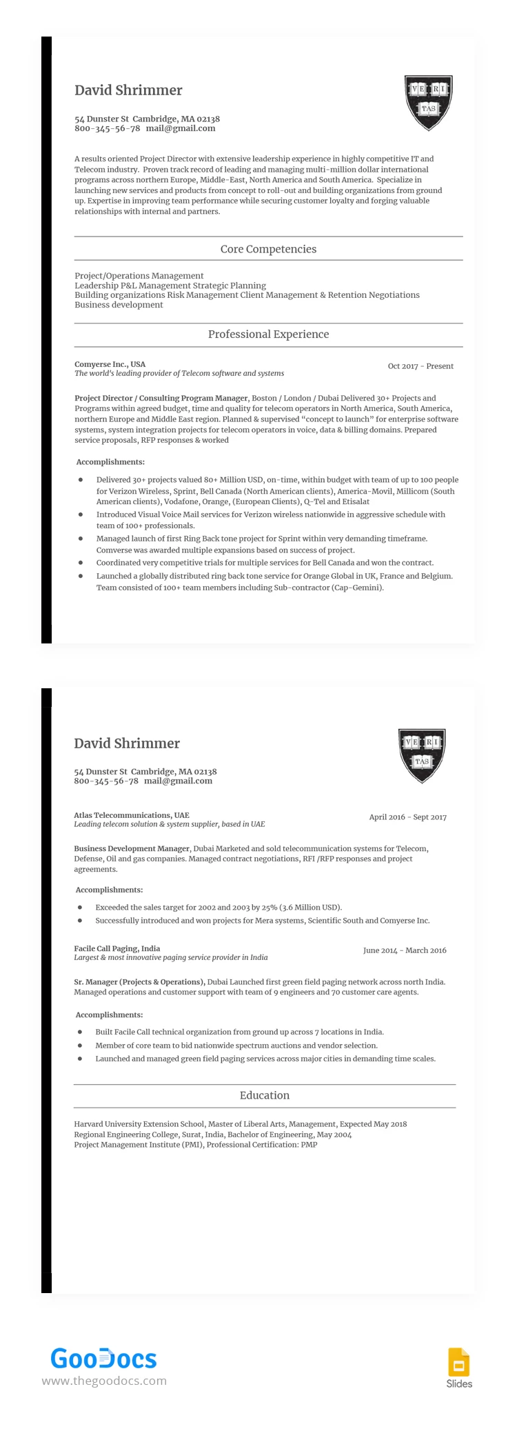 Modèle de CV Harvard - free Google Docs Template - 10067538