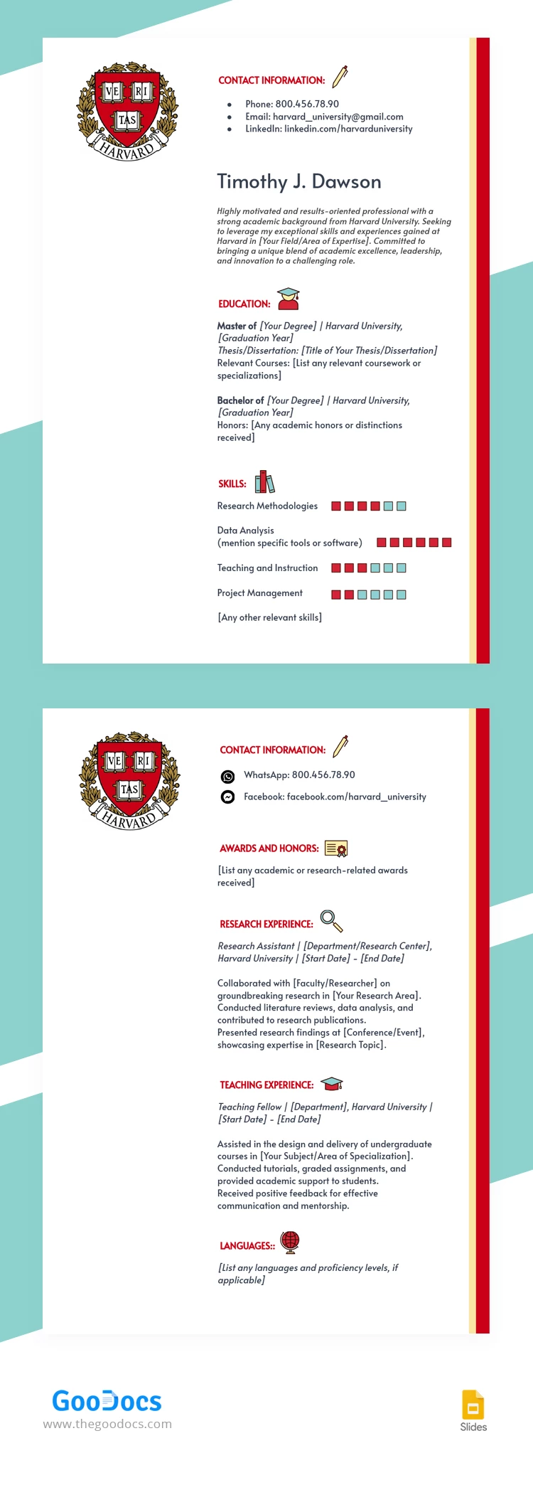 Harvard Musterlebenslauf - free Google Docs Template - 10068090