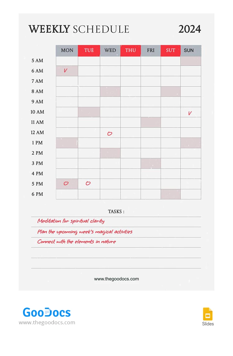 Hourly Weekly Schedule - free Google Docs Template - 10067748