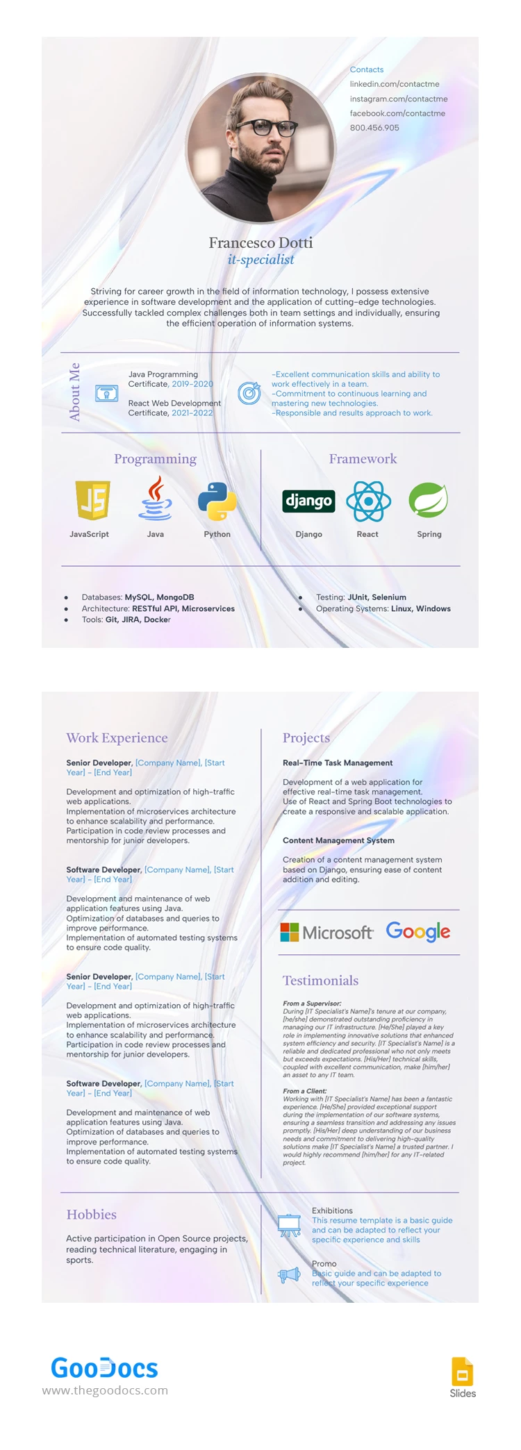 Curriculum IT Professionale - free Google Docs Template - 10068052