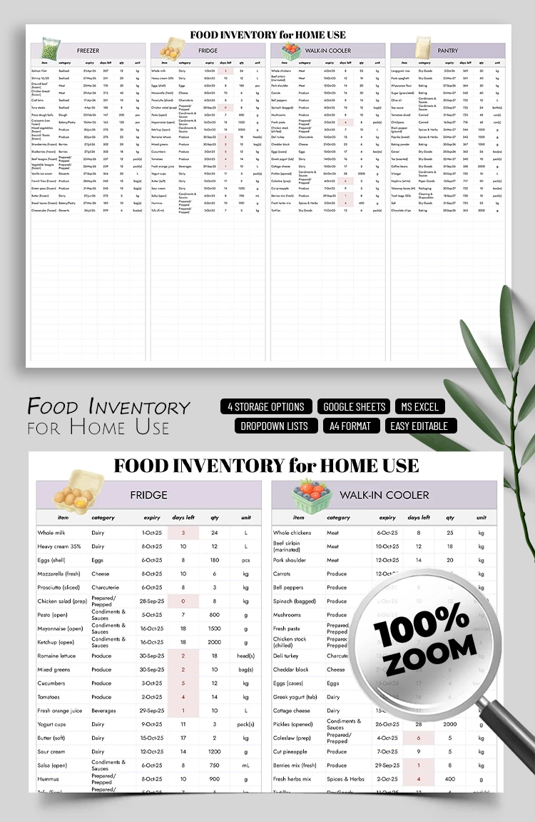 Kitchen Food Inventory Template for Home Use - free Google Docs Template - 10071761