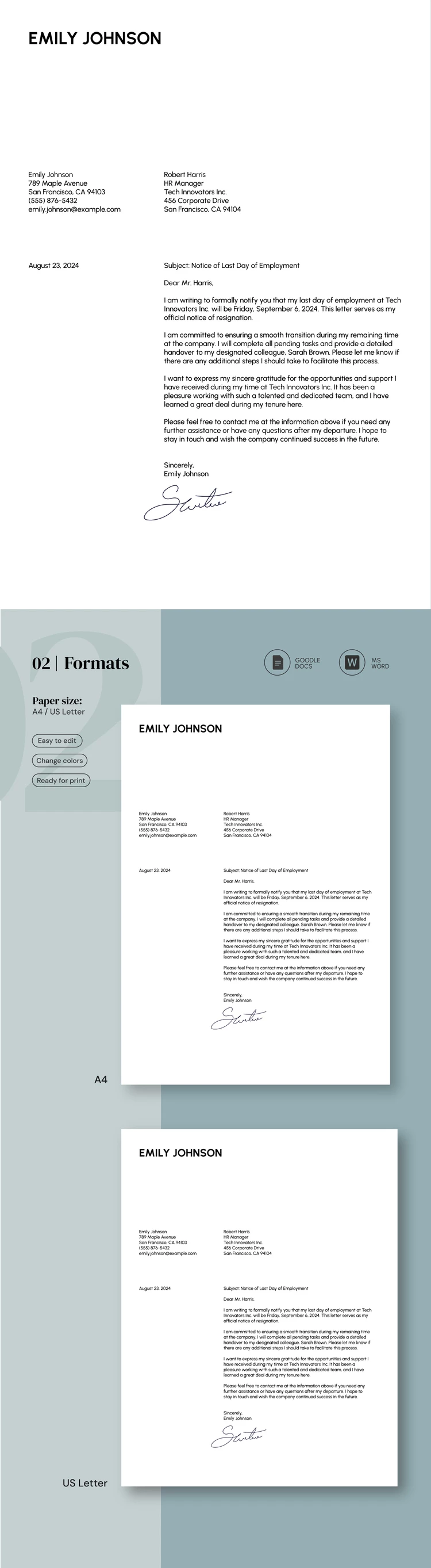 Last Day Of Employment Letter - free Google Docs Template - 10069227