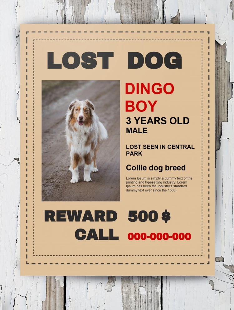 Cartaz de Cão Perdido Amarelo - free Google Docs Template - 10061633