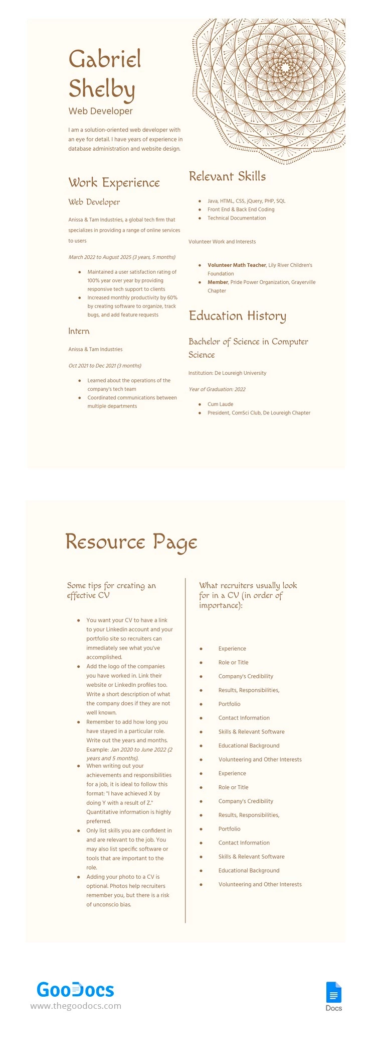 Developer CV - free Google Docs Template - 10064660