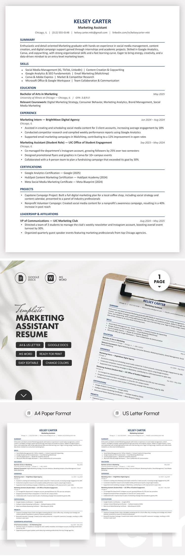 Vorschau von Marketing-Assistent Lebenslauf-Vorlage für Google Docs and Microsoft Word