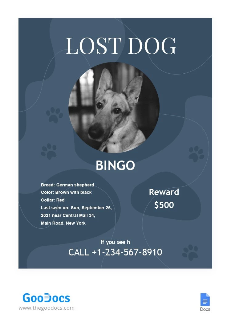 Folheto de cão desaparecido - free Google Docs Template - 10062456
