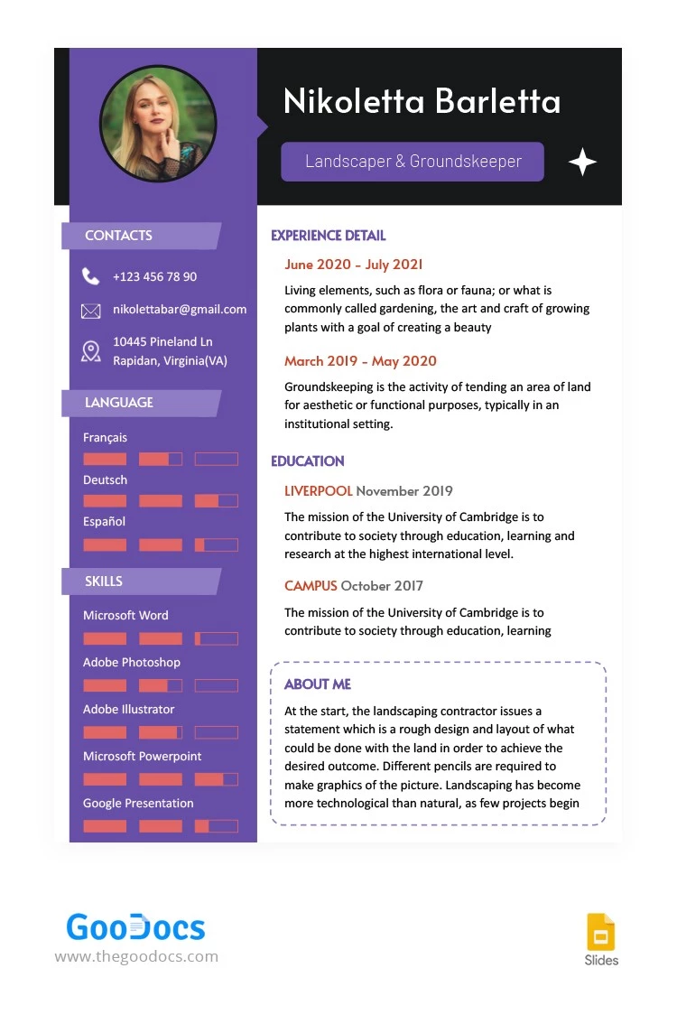 Currículum moderno en color morado - free Google Docs Template - 10064216