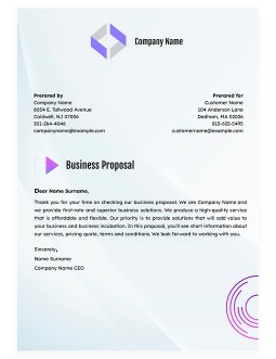 Business Proposal Templates for CANVA & ILLUSTRATOR – Slidewalla