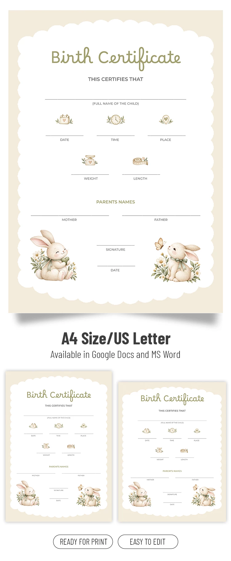 Preview of Printable Birth Certificate Template for Google Docs and Microsoft Word