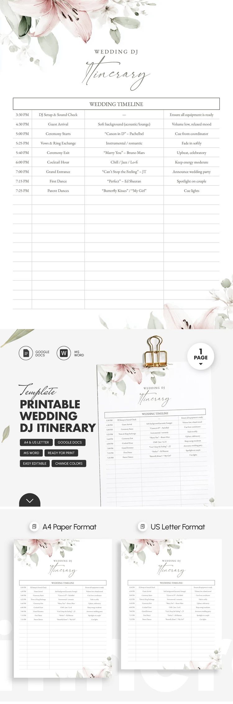 Printable Wedding DJ Itinerary Template - free Google Docs Template - 10071817