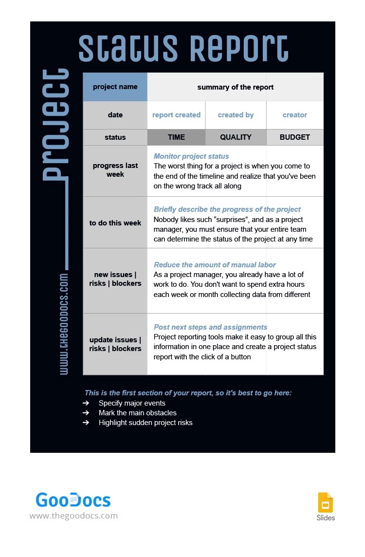 Project Status Report - free Google Docs Template - 10064756