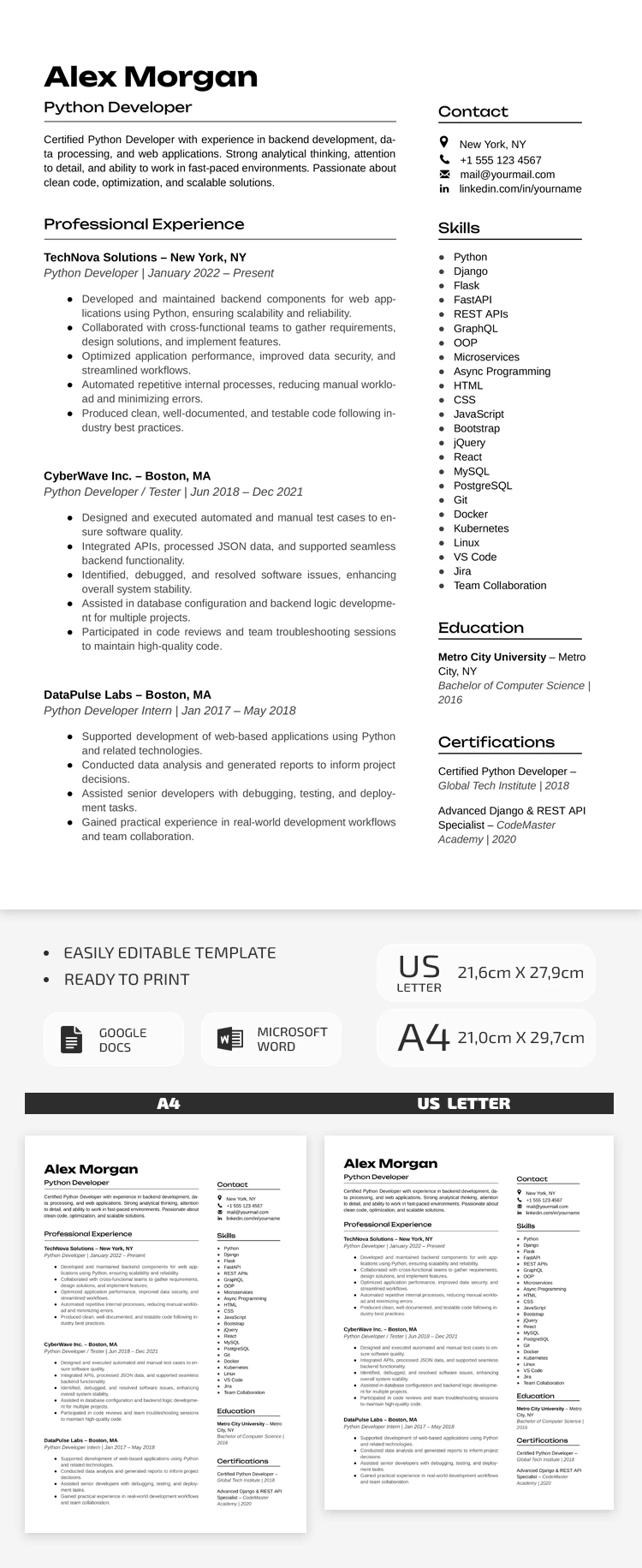 Python Developer Resume Template - free Google Docs Template - 10072411