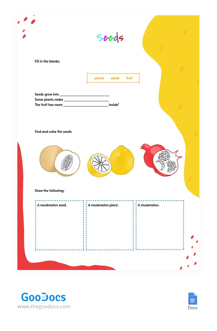 Seed Fruits Worksheet - free Google Docs Template - 10062317