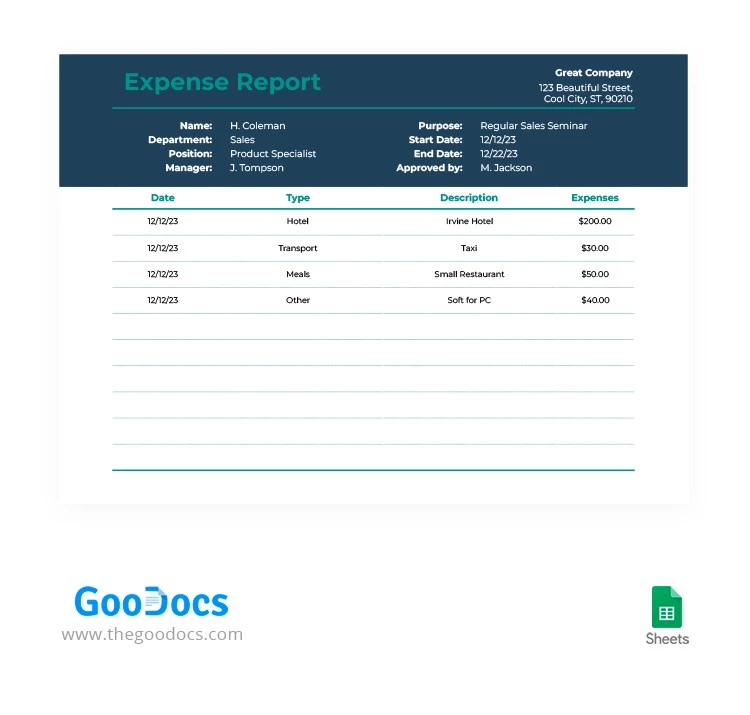 Rapport de dépenses simple et élégant. - free Google Docs Template - 10063841