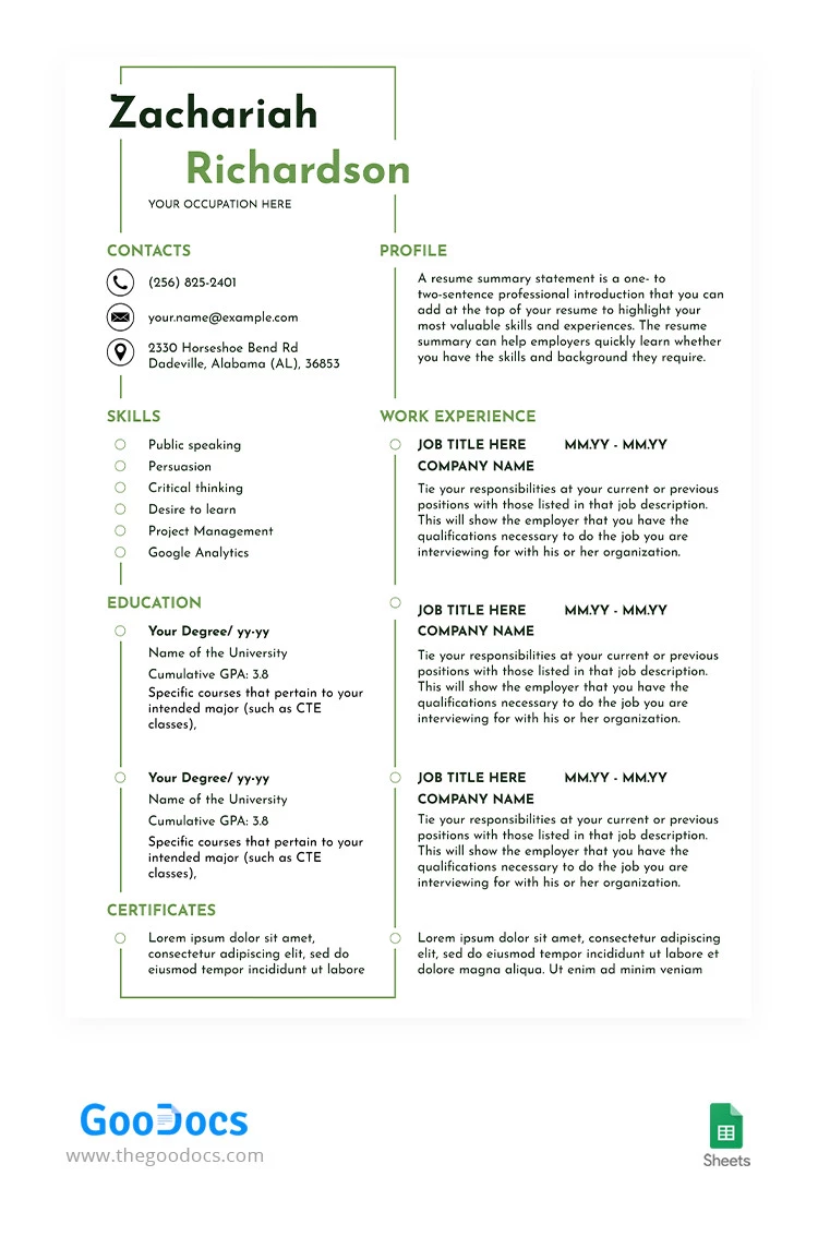 Simple Geometric Resume - free Google Docs Template - 10066232