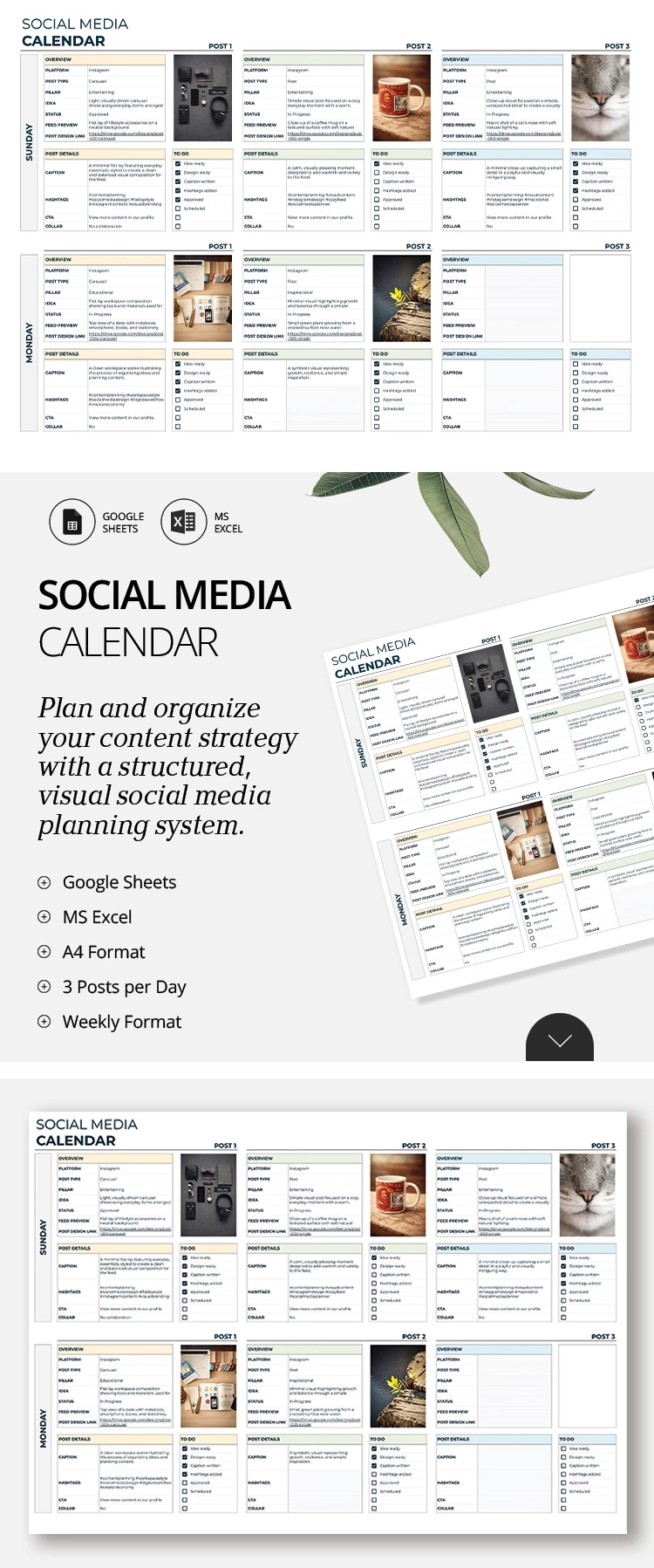 Plantilla de Calendario de Contenido para Redes Sociales - free Google Docs Template - 10072672