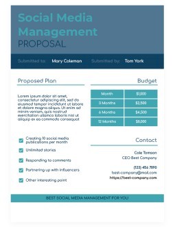 Free Business Proposal Templates In Google Docs, Google Sheets