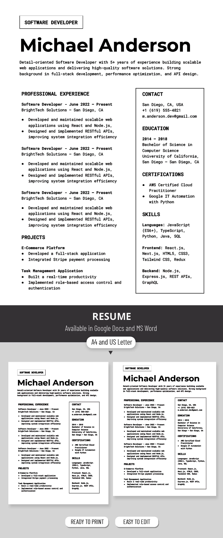 Vista previa de Plantilla de curriculum vitae de Desarrollador de Software para 2026 para Google Docs and Microsoft Word