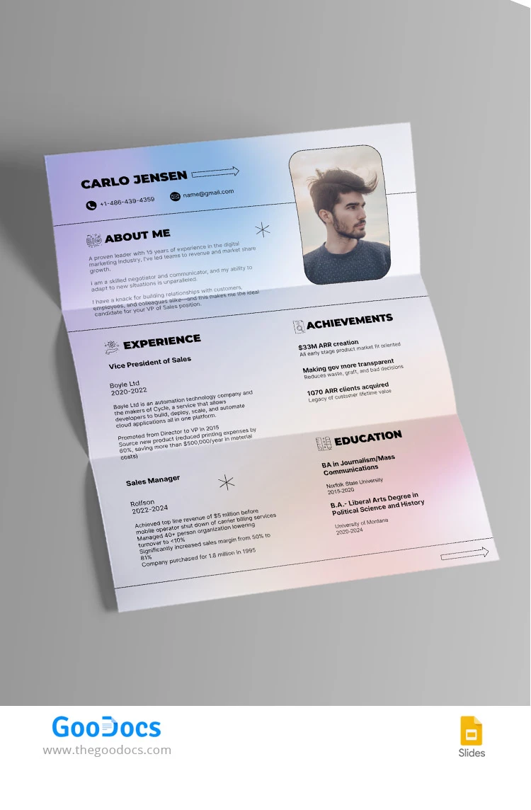 Professional Sales Resume - free Google Docs Template - 10068047