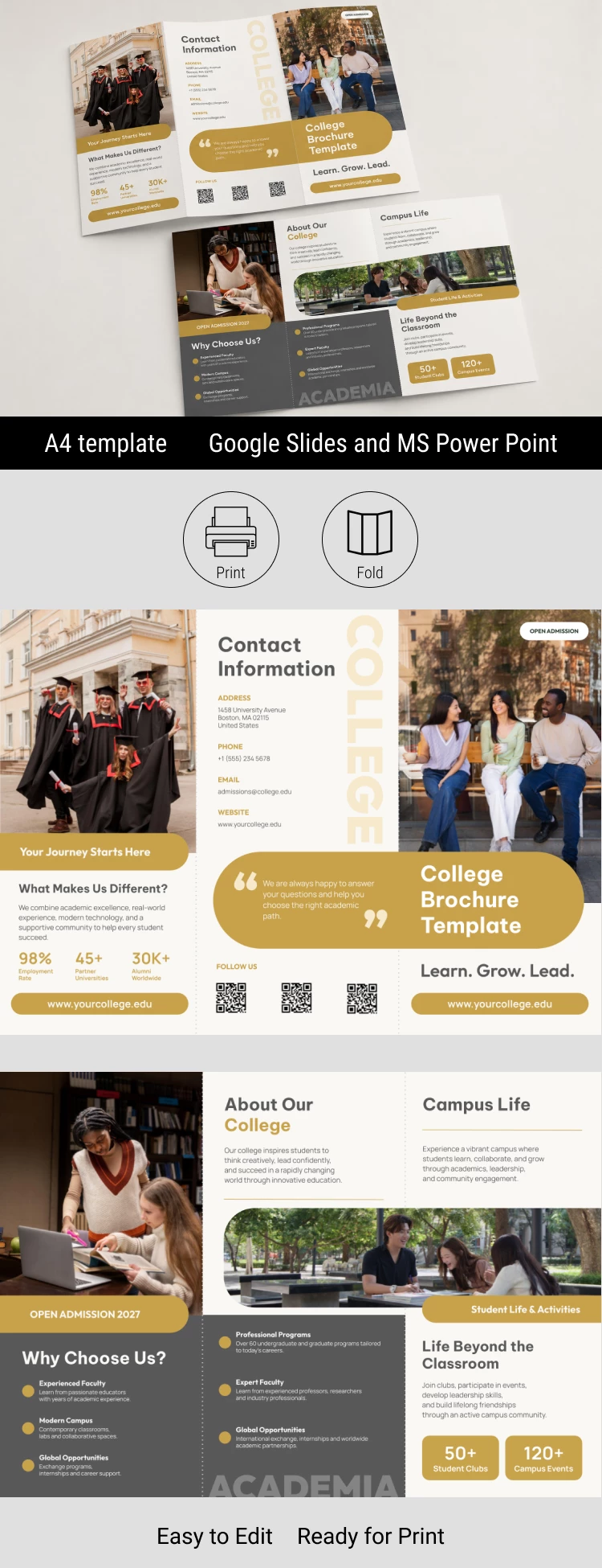 Preview of Trifold College Brochure for Google Slides and Microsoft PowerPoint