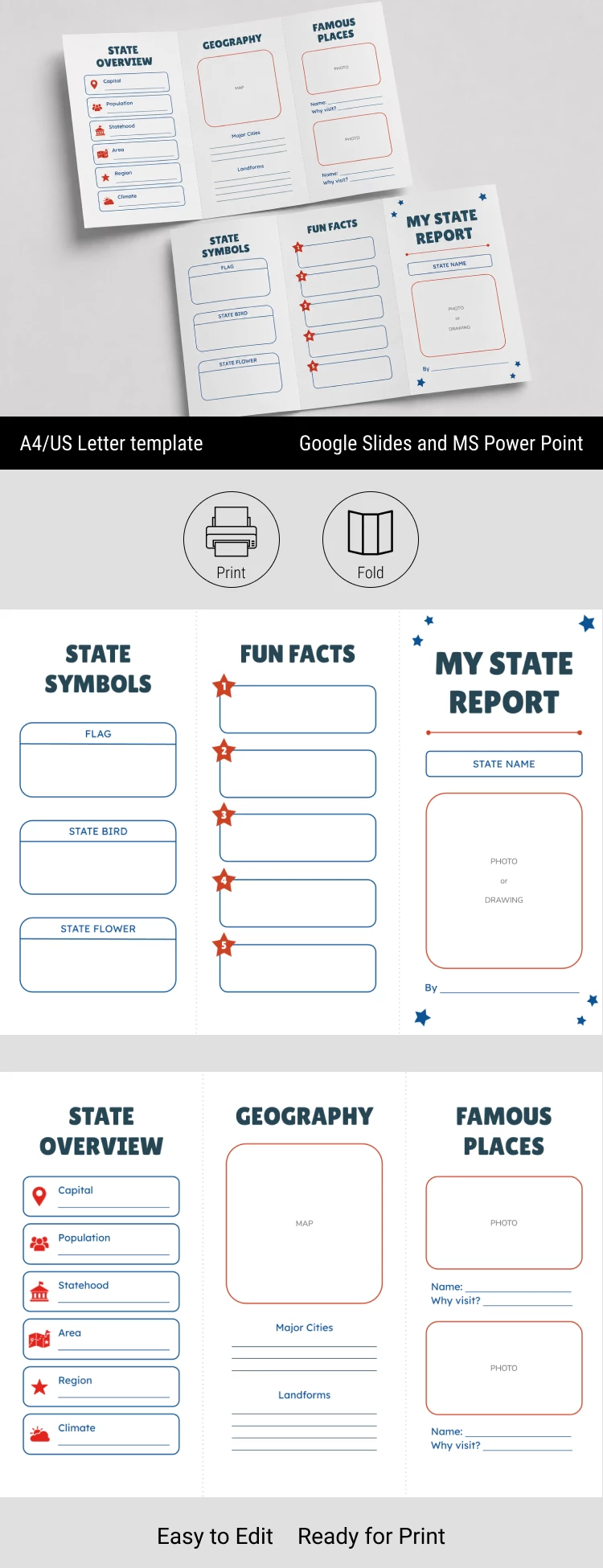 Preview of US State Report Brochure Template for Google Slides and Microsoft PowerPoint