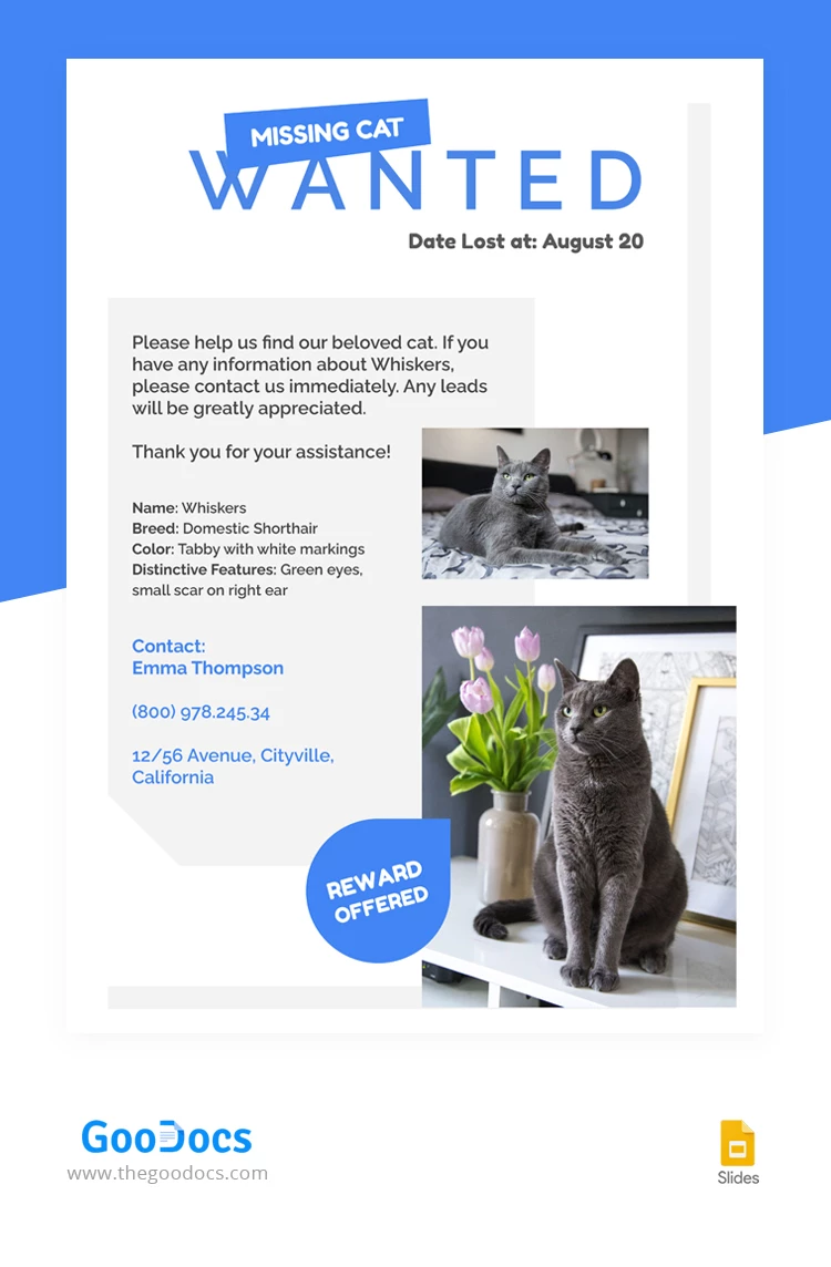 Wanted Cat Poster - free Google Docs Template - 10068444