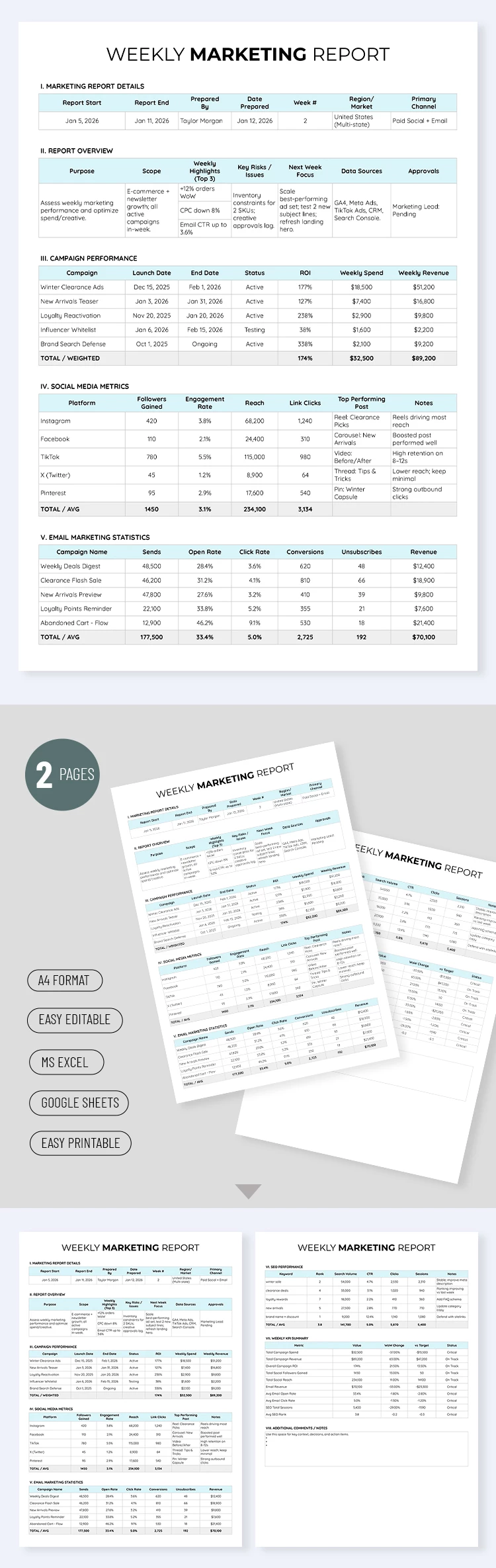 Weekly Marketing Report Template - free Google Docs Template - 10072646