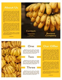 yema banana business plan